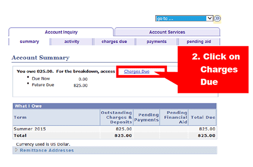Under Account Summary, select "Charges Due"