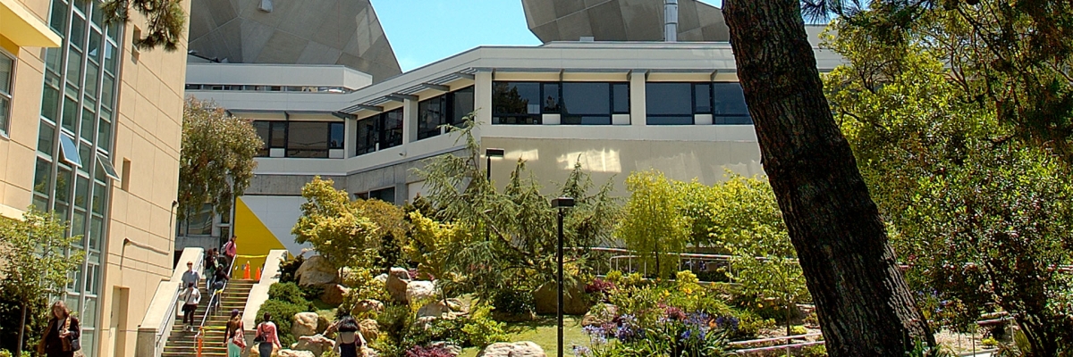 Burk Hall and the Student Center on the SF State campus