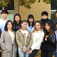 A group of students under a fall tree on campus
