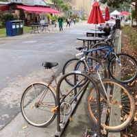 Bicycles parked on campus by fall leaves