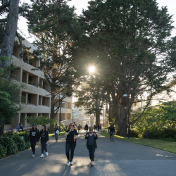 Students walking on campus, sun behind the trees