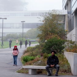 Student sits on a bench on a foggy winter day on campus